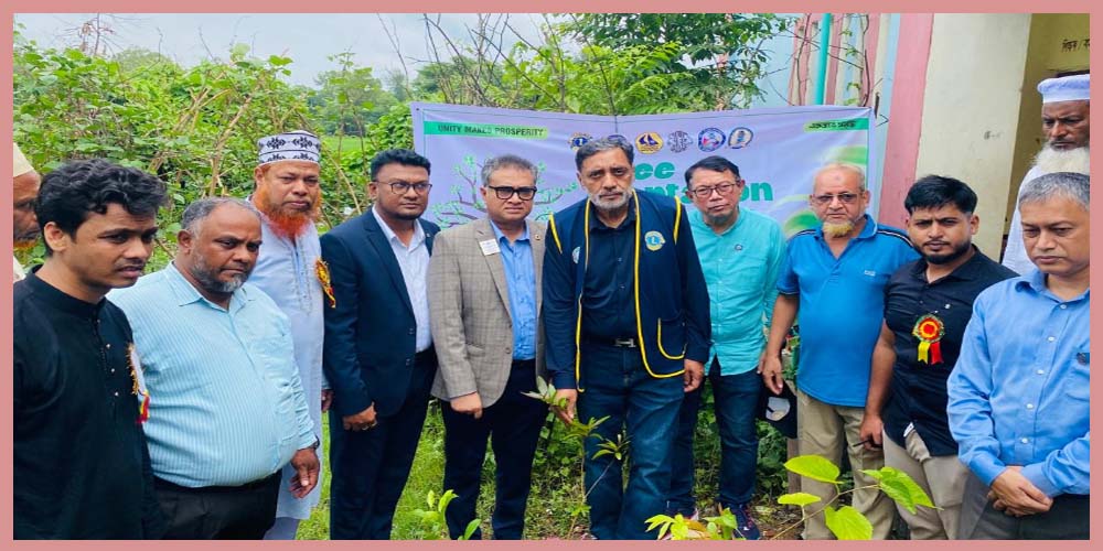 Tree Plantation Camp